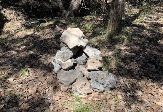 Screen Shot 2021-07-31 at 4.17.50 PM