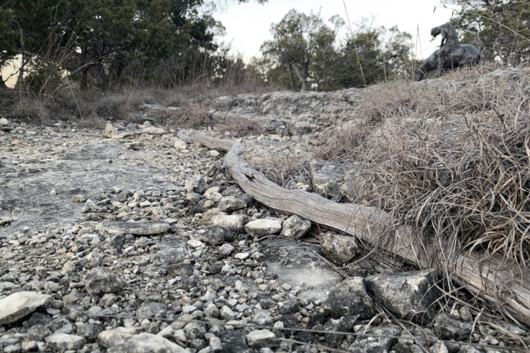 JuniperusPerditorMundi1200x900