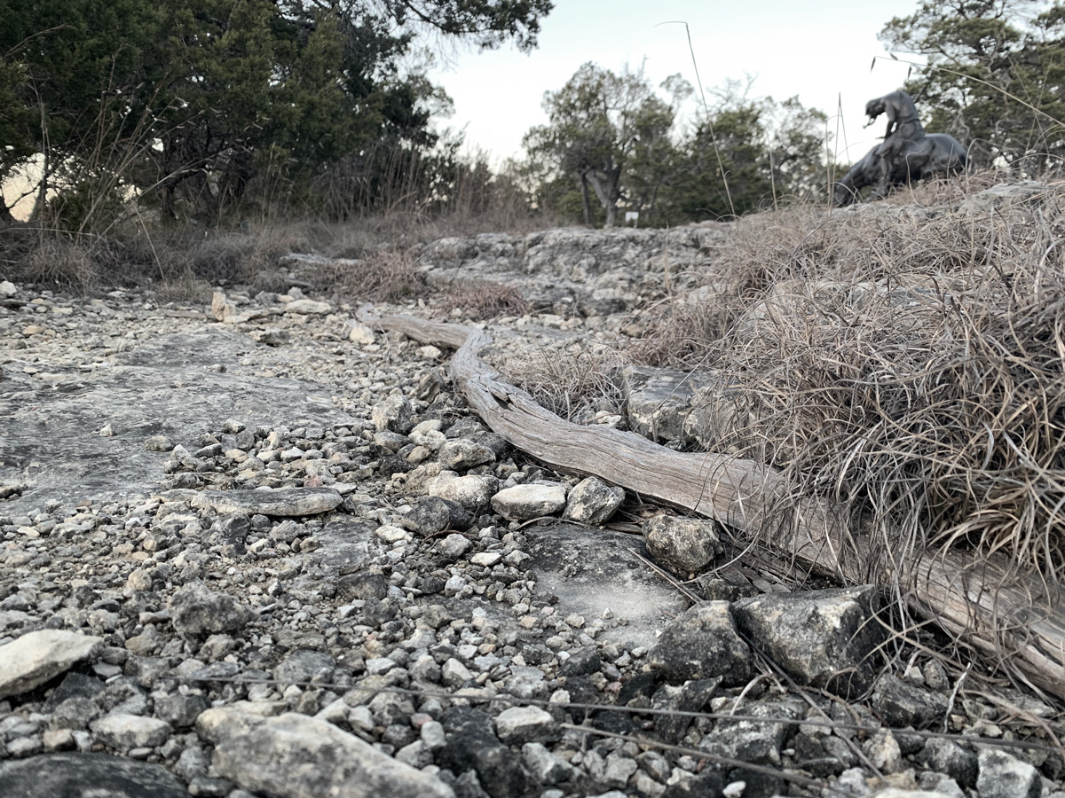 JuniperusPerditorMundi1200x900